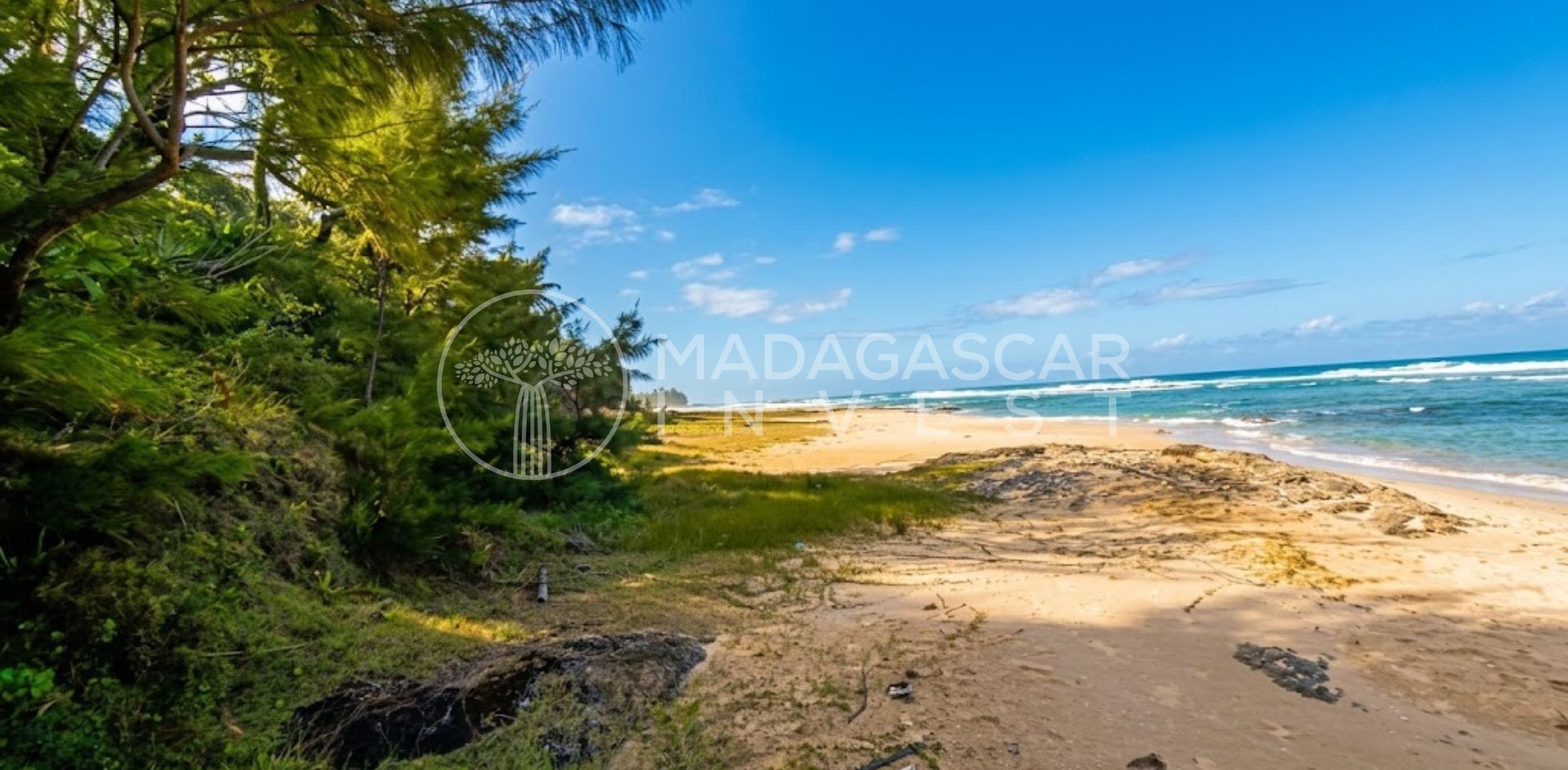 Large Beachfront Land on Sainte Marie Island 2 Grand terrain en bord de mer à vendre sur l'île Sainte-Marie