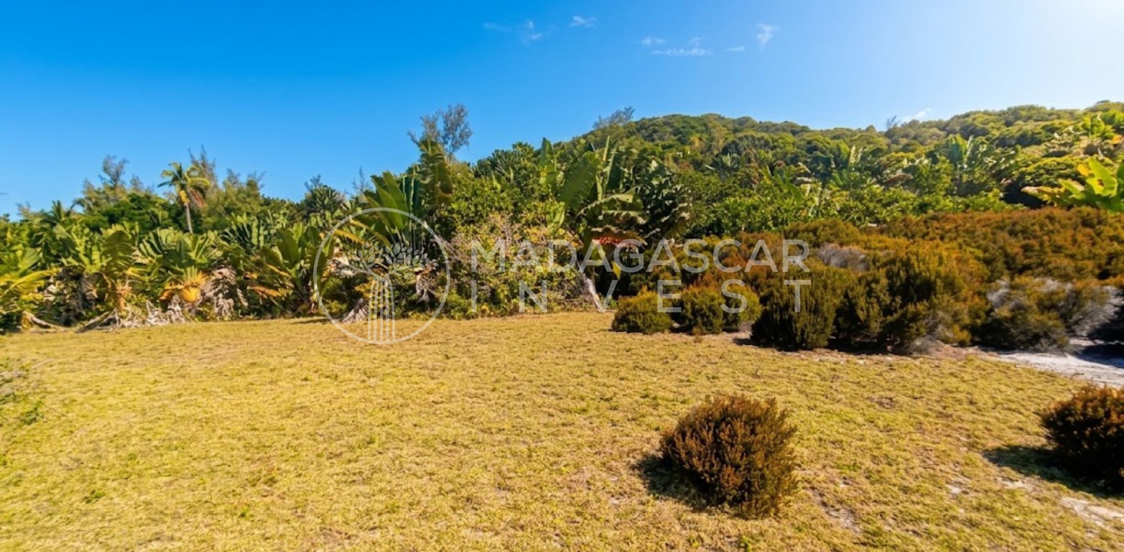 Large Beachfront Land on Sainte Marie Island 5 Grand terrain en bord de mer à vendre sur l'île Sainte-Marie