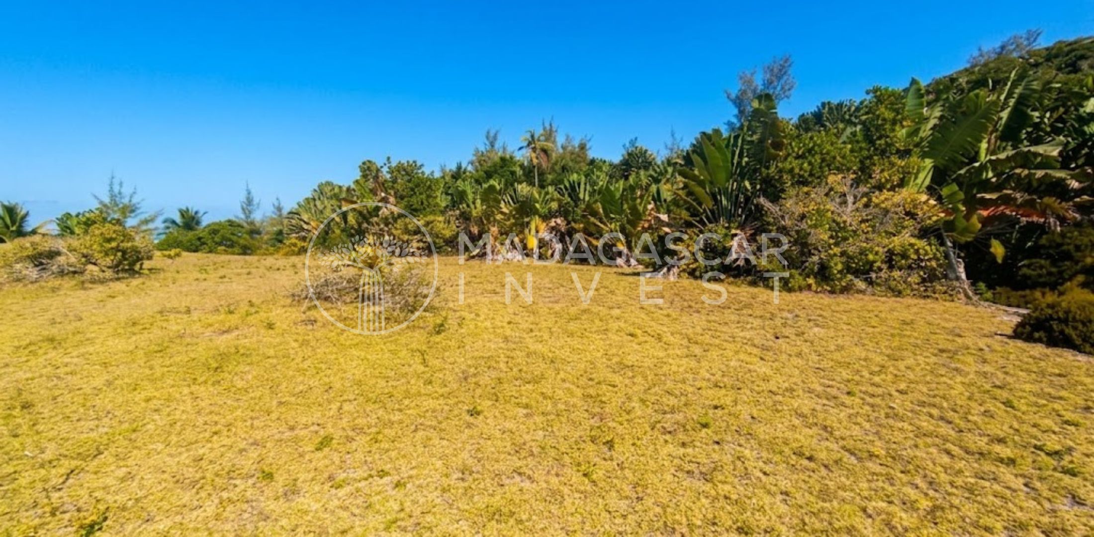 Large Beachfront Land on Sainte Marie Island 6 Grand terrain en bord de mer à vendre sur l'île Sainte-Marie