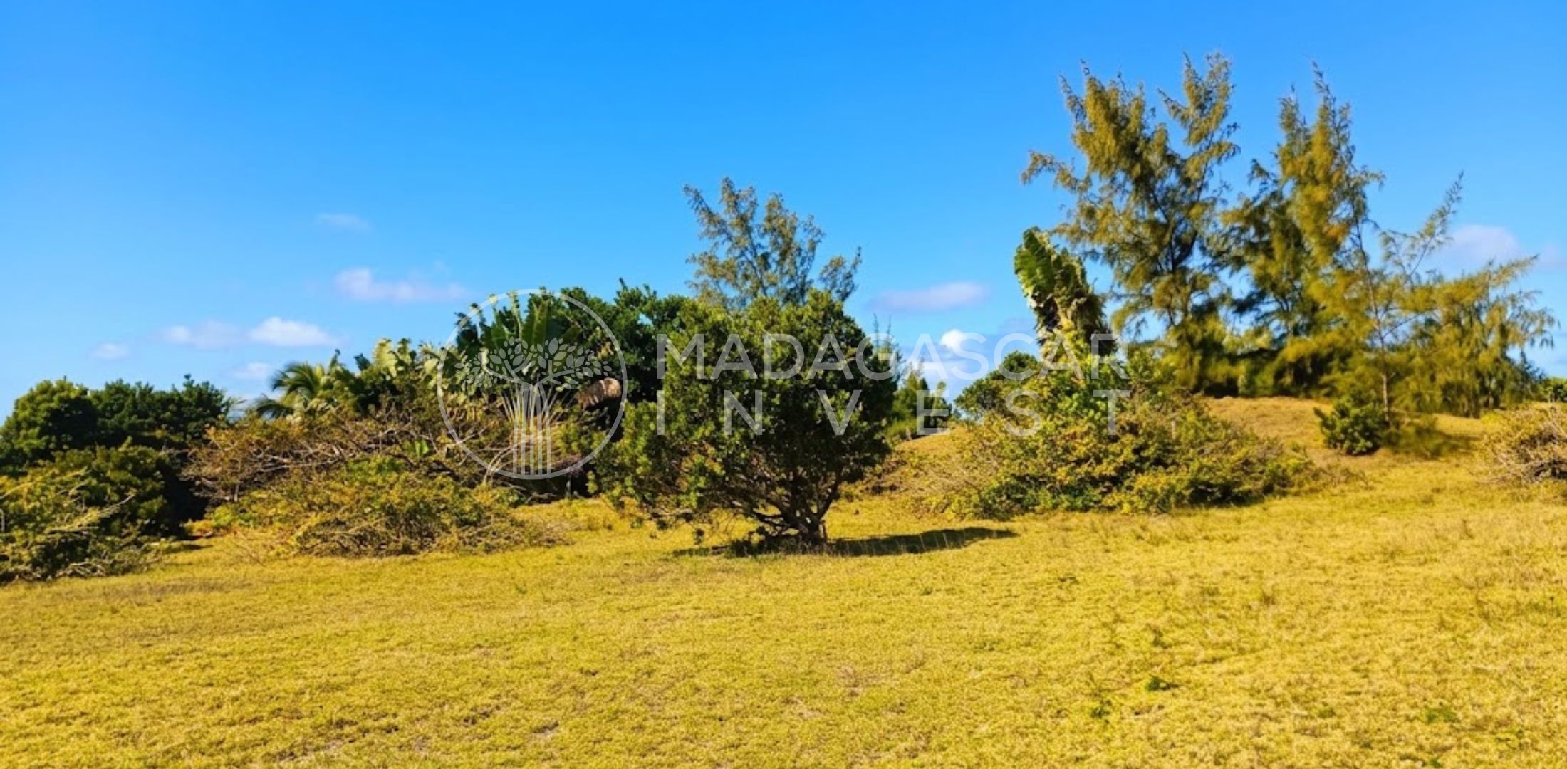 Large Beachfront Land on Sainte Marie Island 7 Grand terrain en bord de mer à vendre sur l'île Sainte-Marie
