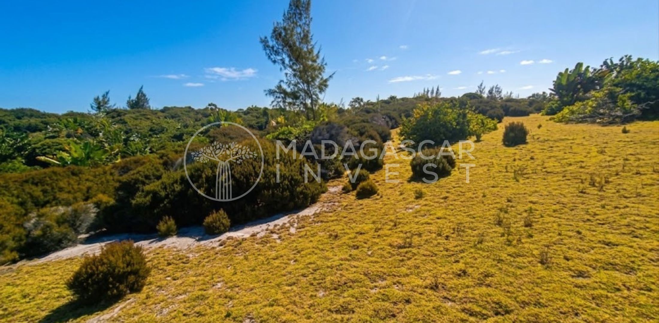 Large Beachfront Land on Sainte Marie Island 9 Grand terrain en bord de mer à vendre sur l'île Sainte-Marie