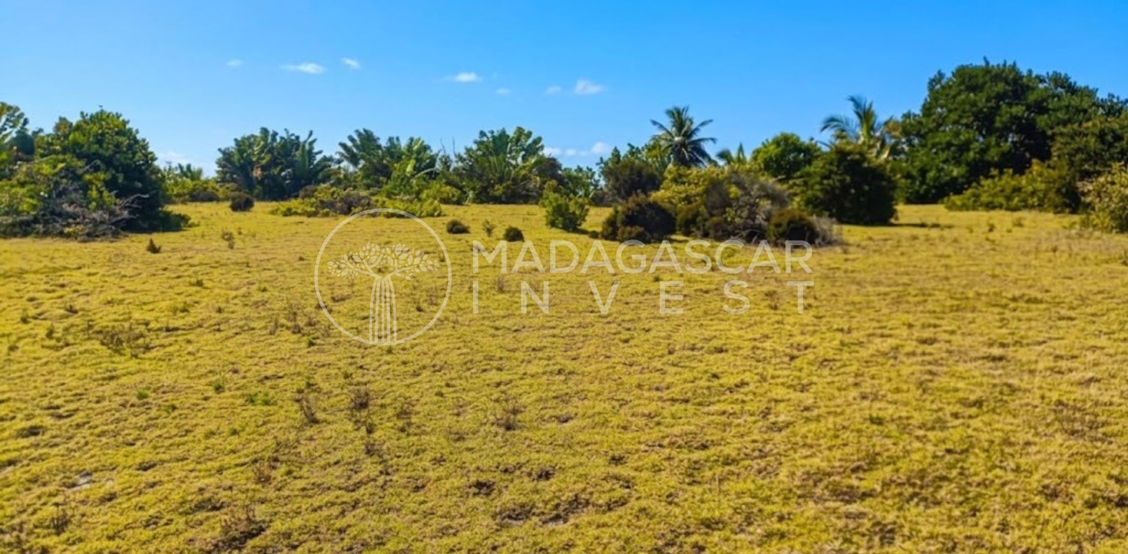 Large Beachfront Land on Sainte Marie Island Grand terrain en bord de mer à vendre sur l'île Sainte-Marie