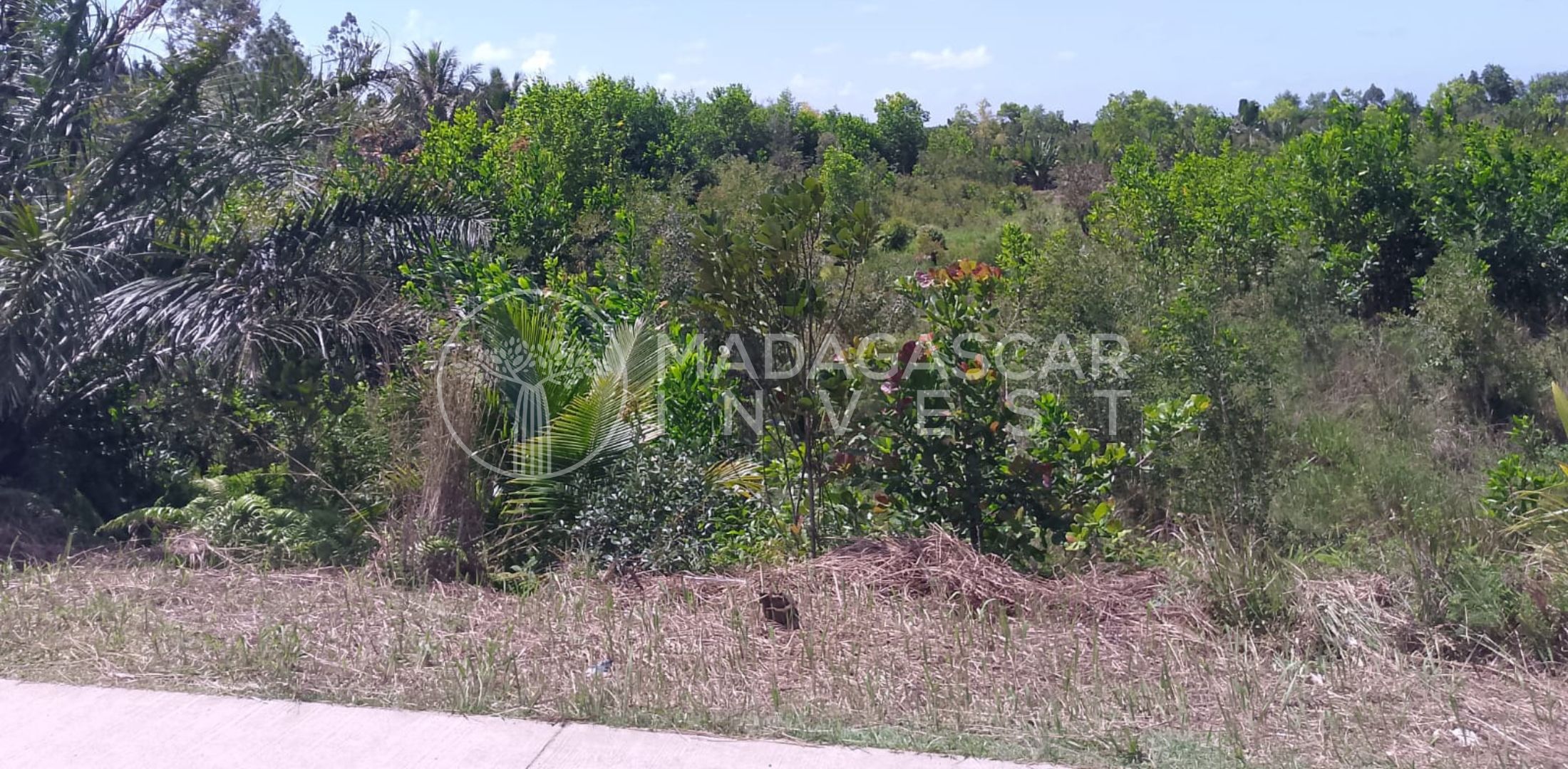 partial view of the RN5 road and the mahambo property looking east