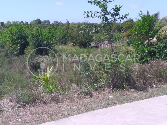 partial view of the RN5 highway and the mahambo property