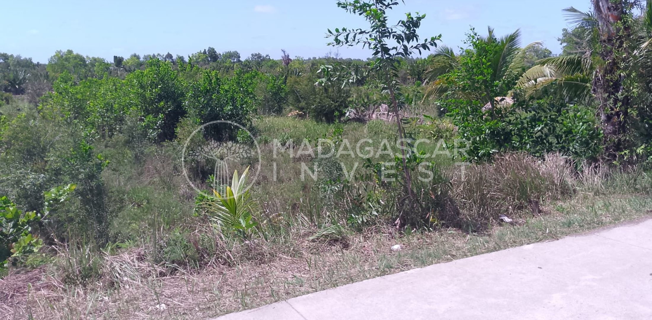 Vue partielle de l'autoroute RN5 et de la propriété Mahambo