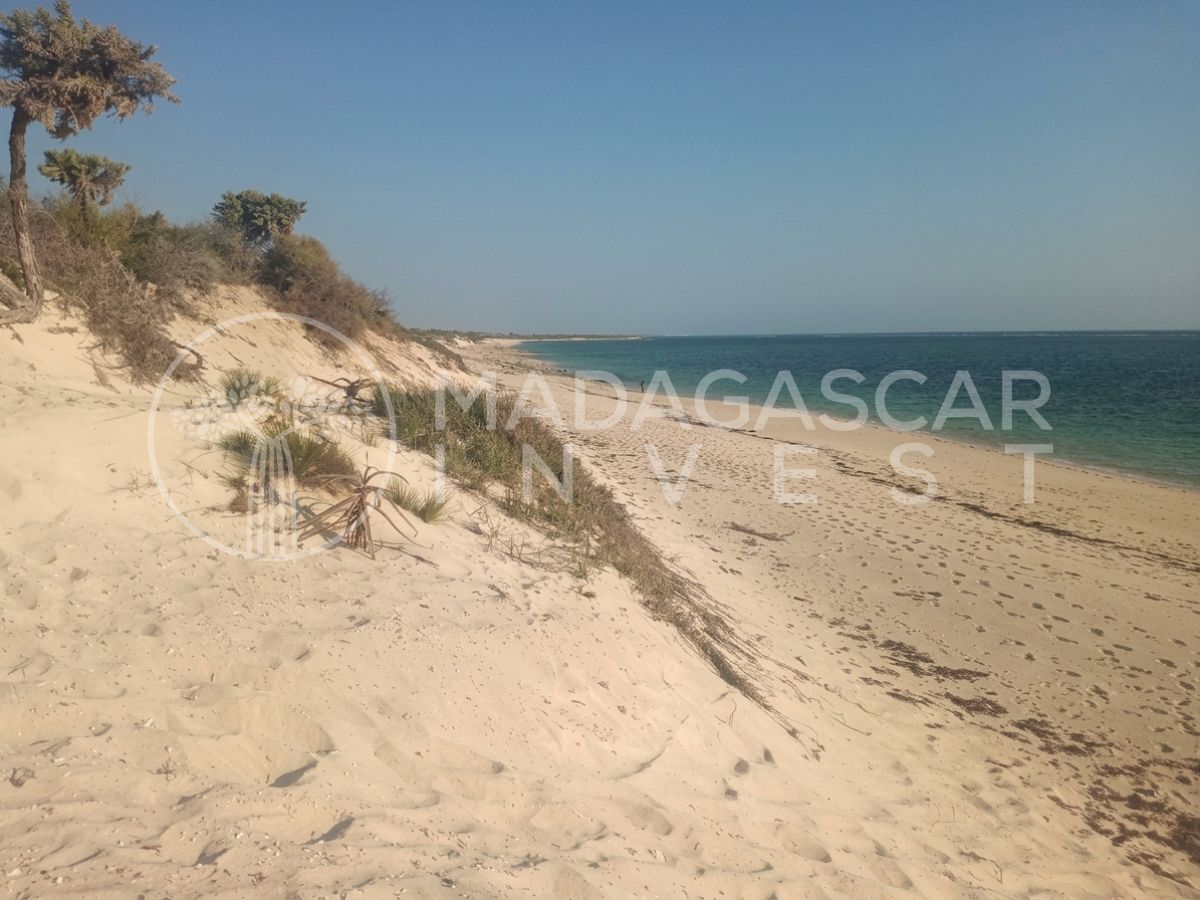 Anakao 2 Hectare Titled Beachfront Land near Tulear 1 view of the blue sea and the white sandy beach on the propert in Anakao