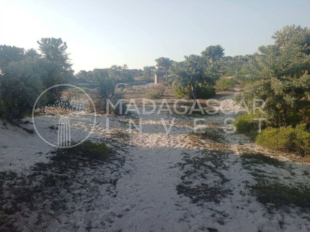 Anakao 2 Hectare Titled Beachfront Land near Tulear 5 Private 2-Hectare Beachfront in Anakao, near Tulear