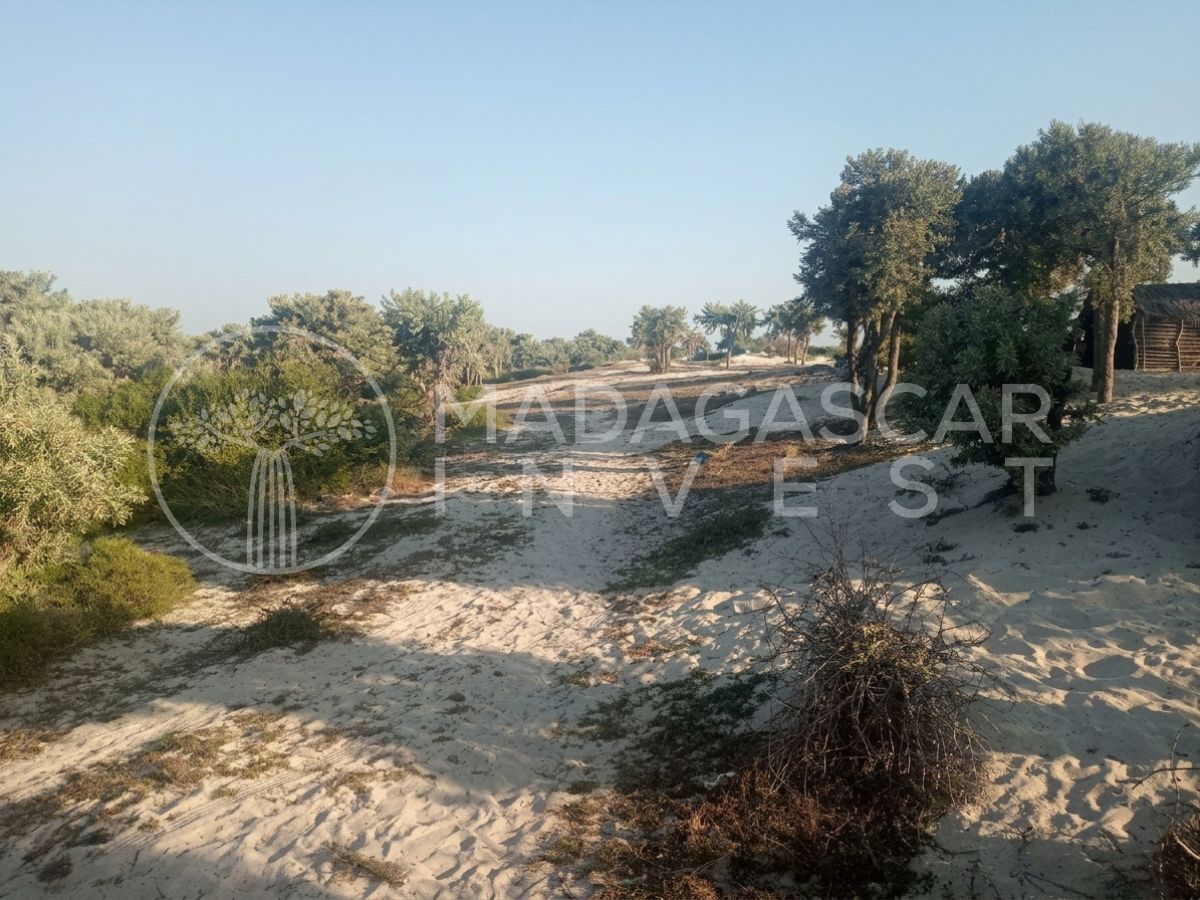 Anakao 2 Hectare Titled Beachfront Land near Tulear 6 Private 2-Hectare Beachfront in Anakao, near Tulear