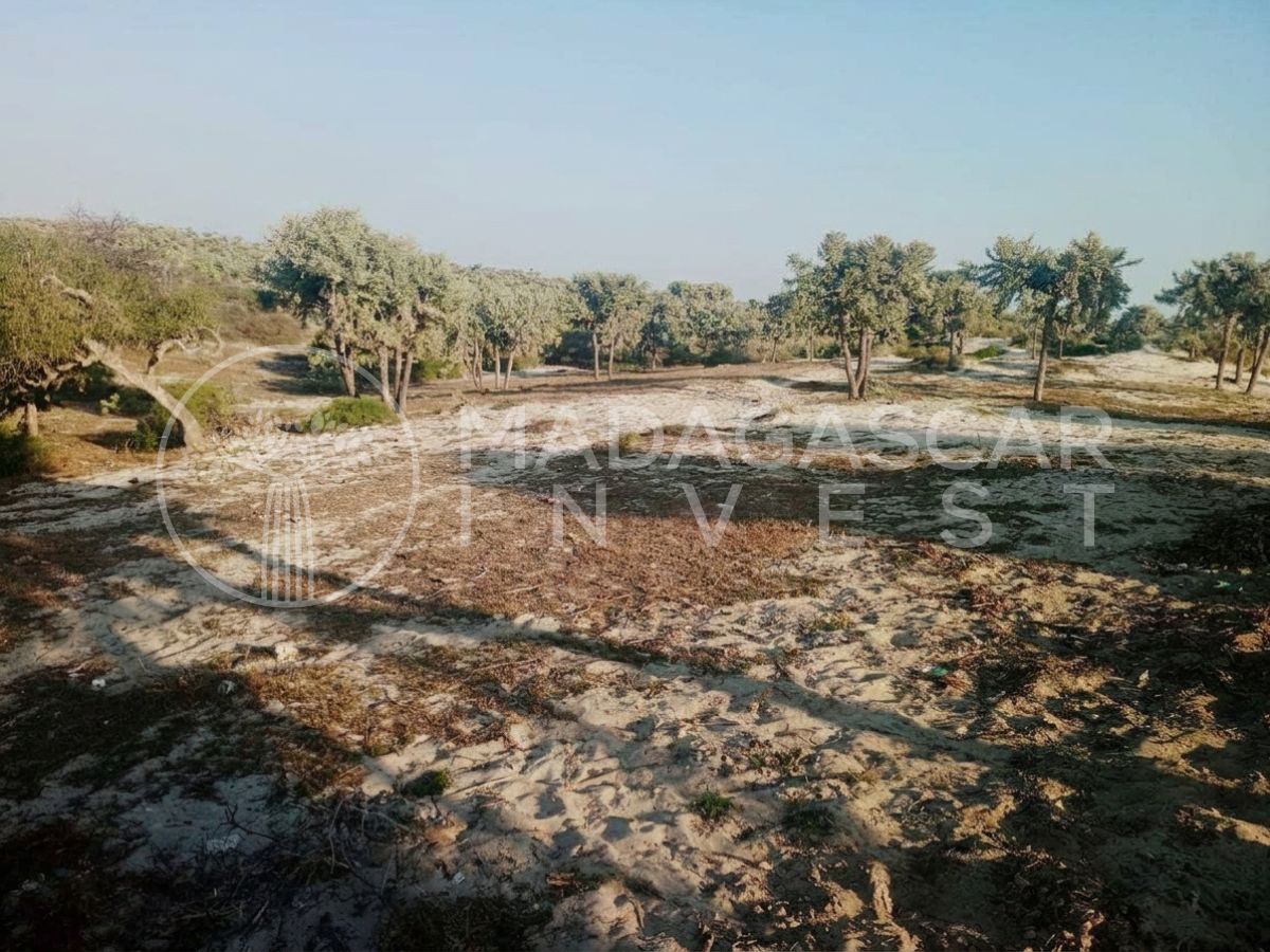 Anakao 2 Hectare Titled Beachfront Land near Tulear 7 Private 2-Hectare Beachfront in Anakao, near Tulear