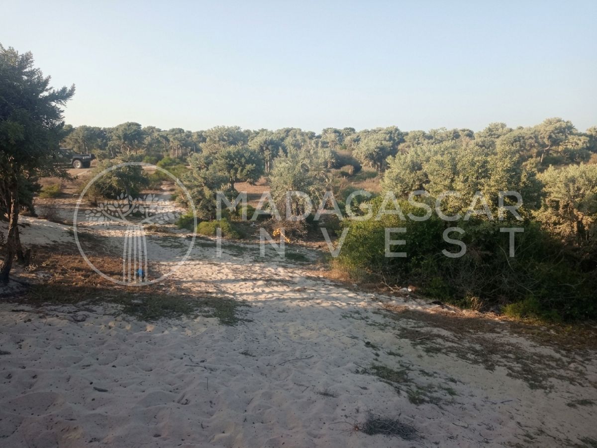 Anakao 2 Hectare Titled Beachfront Land near Tulear 8 Private 2-Hectare Beachfront in Anakao, near Tulear