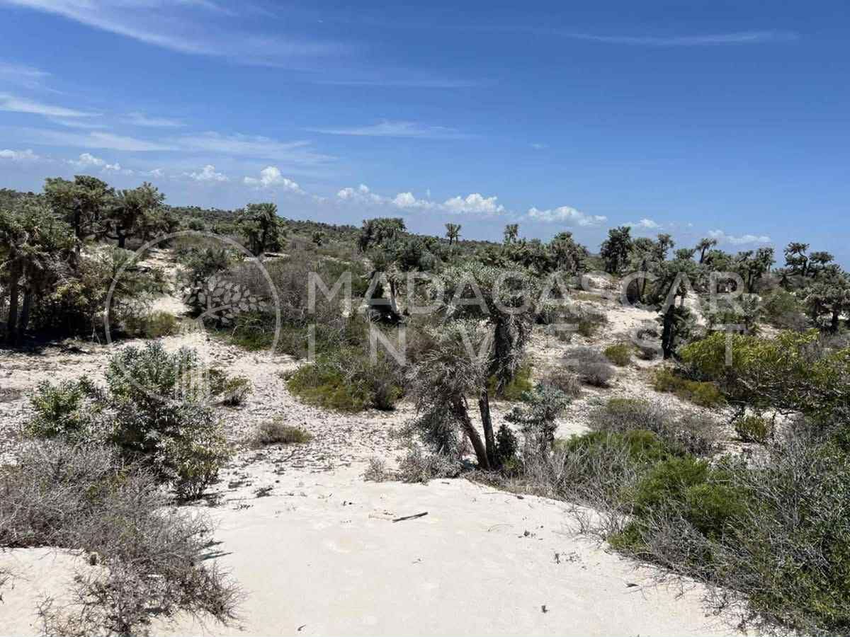 Anakao 2 Hectare Titled Beachfront Land near Tulear 9 Private 2-Hectare Beachfront in Anakao, near Tulear