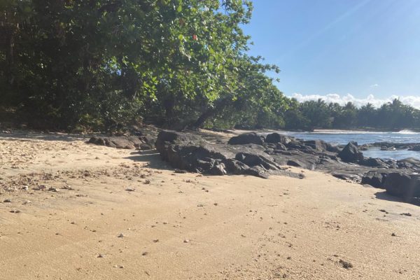 Front de mer Fenerive Est 2789 m2 4