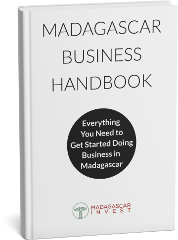 Madagascar Business Handbook Mockup