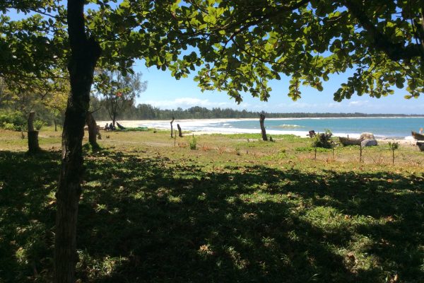 View by the beach